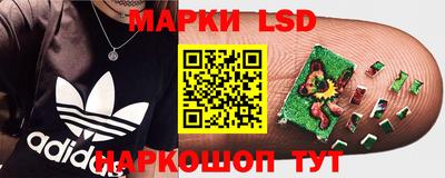 ПСИЛОЦИБИНОВЫЕ ГРИБЫ Будённовск