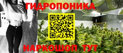 ПСИЛОЦИБИНОВЫЕ ГРИБЫ Будённовск