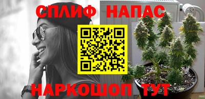 ПСИЛОЦИБИНОВЫЕ ГРИБЫ Будённовск