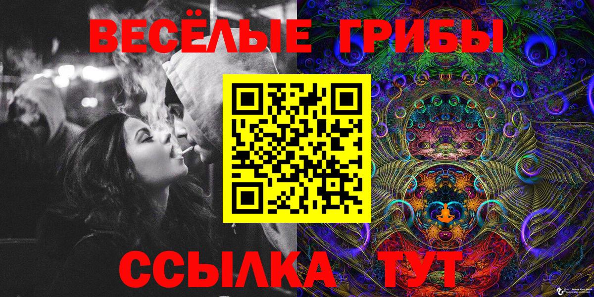 Тавда  где купить наркотик  Вход с VPN  Галлюциногенные грибы ЛСД 